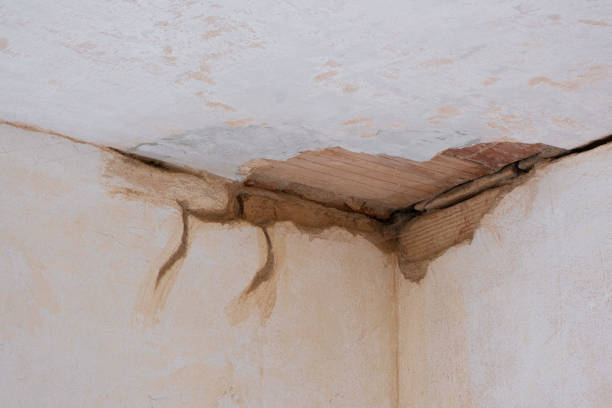 Best Water damage cleanup near me  in Bogalusa, LA