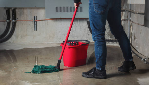 Best Flood restoration services  in Bogalusa, LA