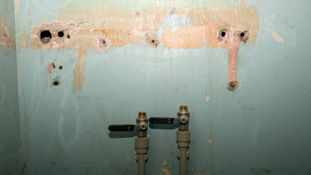 24/7 water damage repair in Bogalusa, LA