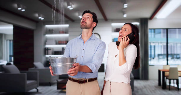 Best Water damage cleanup near me  in Bogalusa, LA