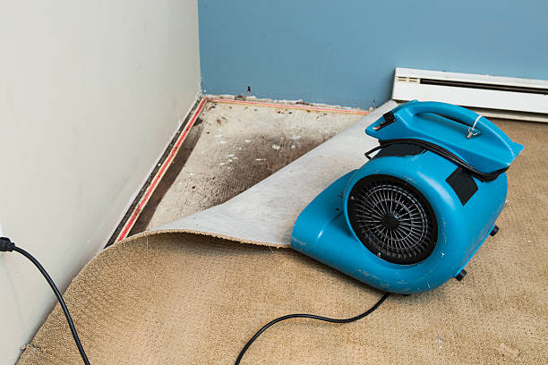Best 24/7 water damage repair  in Bogalusa, LA
